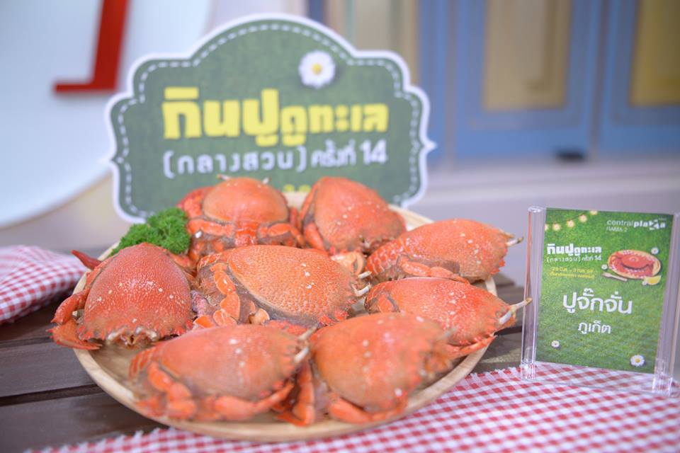 top-10-thailand-crab-2016-2