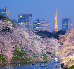 red-planet-asakusa-tokyo-sakura-blooming-season