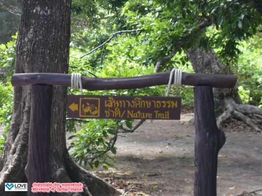 เส้นทางศึกษาธรรมชาติ