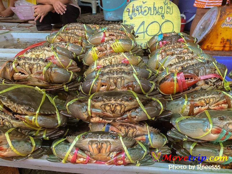 angsilamarket14