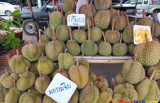 เที่ยวตลาดตะพง แวะซื้อผลไม้และอาหารทะเลสดถูกใจ