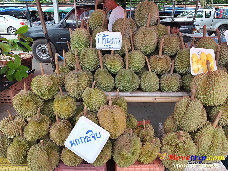 tapongmarket2