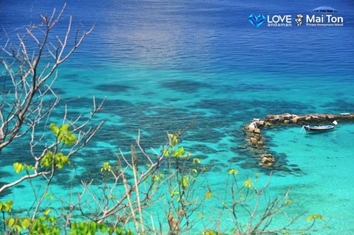 เกาะไม้ท่อน Honeymoon Private Island เกาะแห่งความรัก