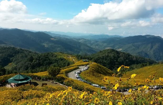 ชวนมาเที่ยวเทศกาลดอกบัวตองดอยแม่อูคอ ประจำปี 2557