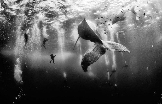 ชมภาพชนะเลิศจากการประกวดภาพถ่าย National Geographic Traveler Photo Contest 2015