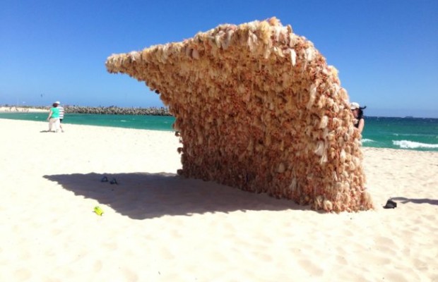 นี่มันคือ…? ศิลปะชิ้นเยี่ยมที่ได้รับรางวัลประติมากรรม by the Sea