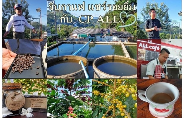 จิบกาแฟ แชร์รอยยิ้มเที่ยวเชียงราย ข้ามไปท่าขี้เหล็ก ชมไร่กาแฟดูกระบวนการผลิตกาแฟบนดอยช้าง กับ CP ALL