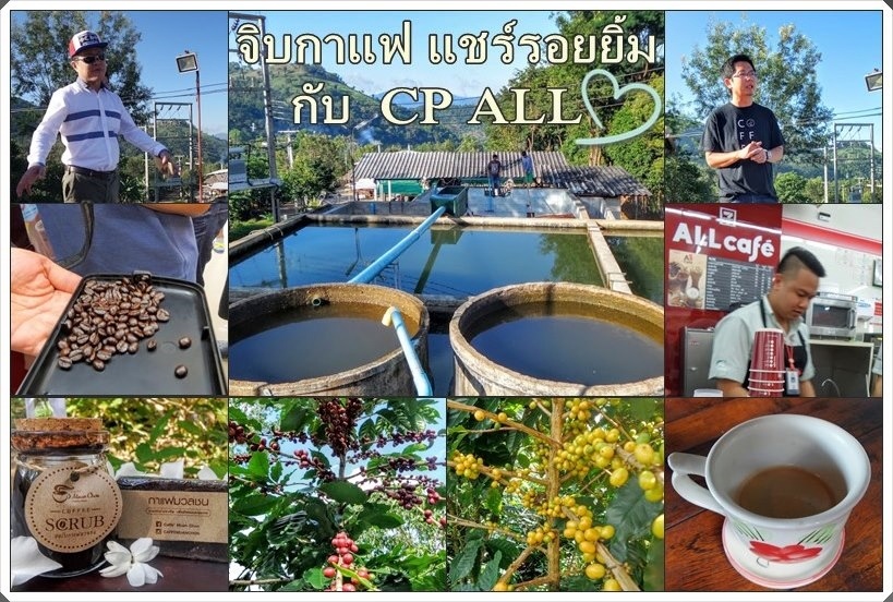 cpall1