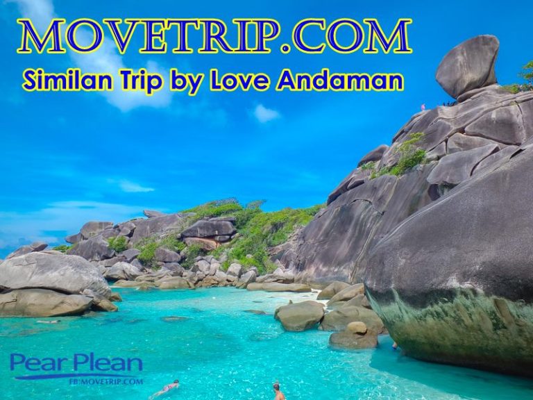 profilesimilan1